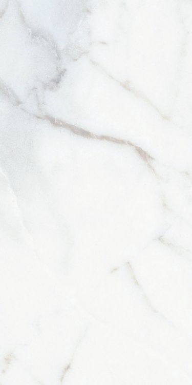 Origines Argent Glossy 12 x 24